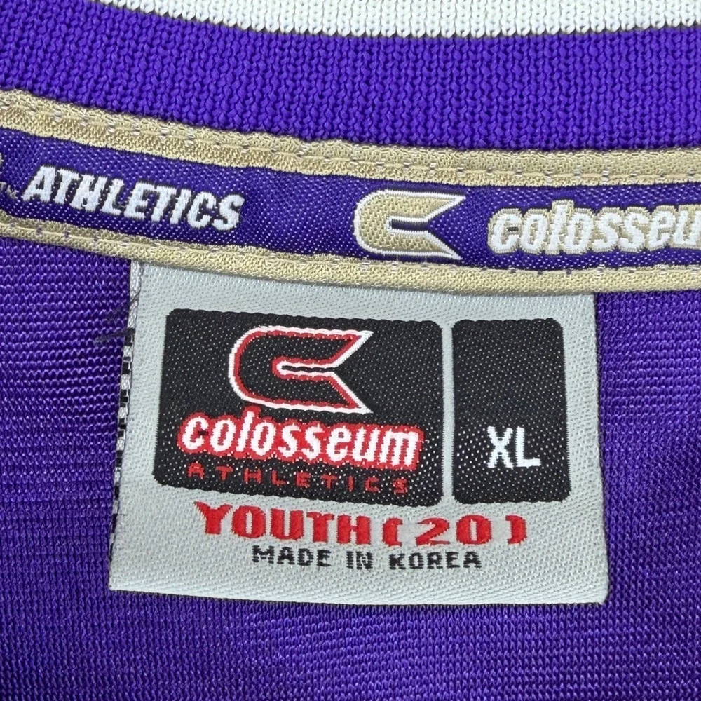 Colosseum Washington Huskies Jersey Youth XL‎ 20 Purple Gold Mesh NCAA #23